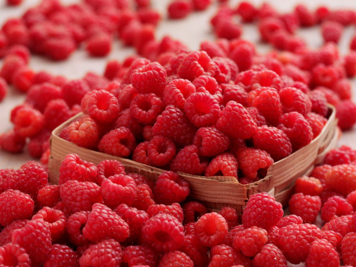 Brown Butter Raspberry Tart.jpg